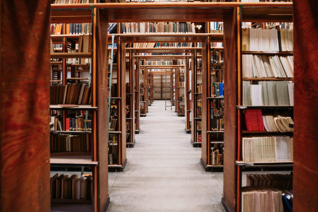 Biblioteka z półkami, a na nich stoją książki.