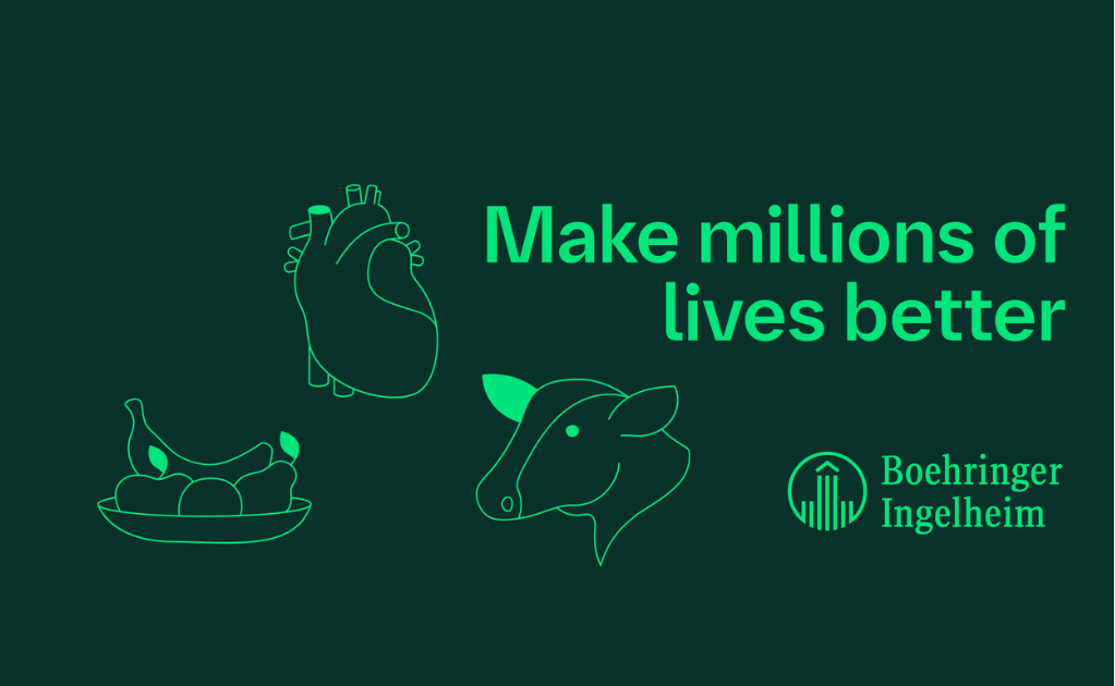 Grafika Boehringer Ingelheim Business Services Poland