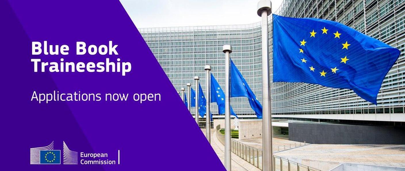 flagi unii europejskiej powiewające na sztandarach a obok napis Blue Book treineeship